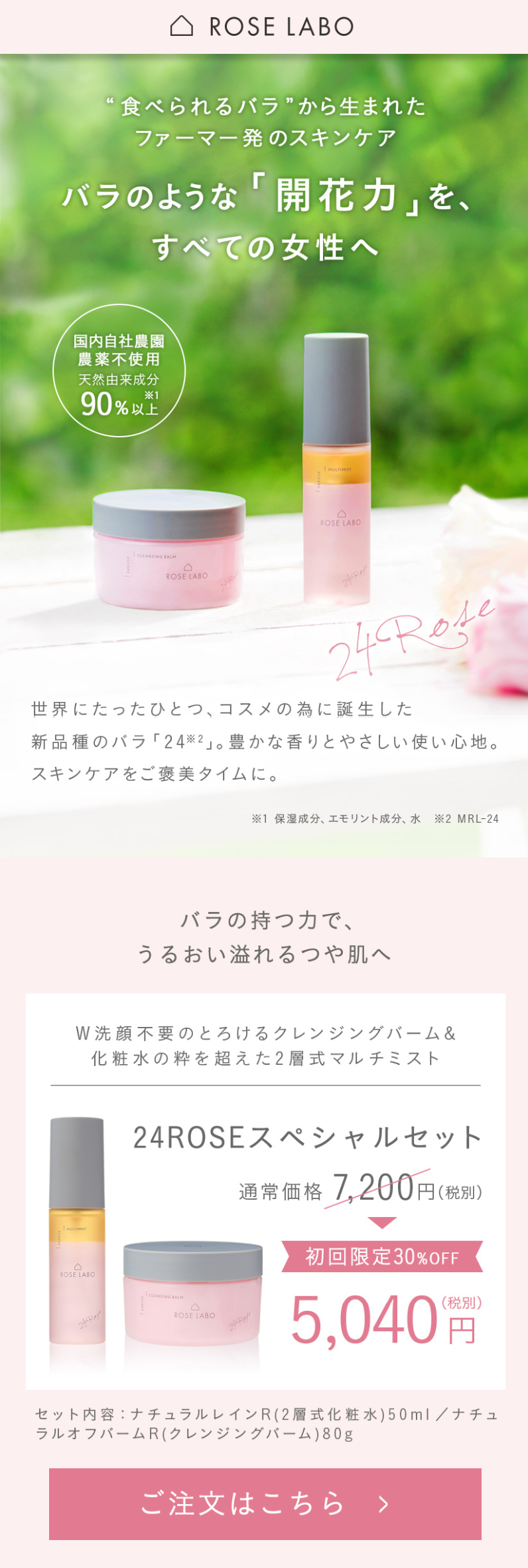 24roseスペシャルセット Http 70c9917fb2 Seesaa Net